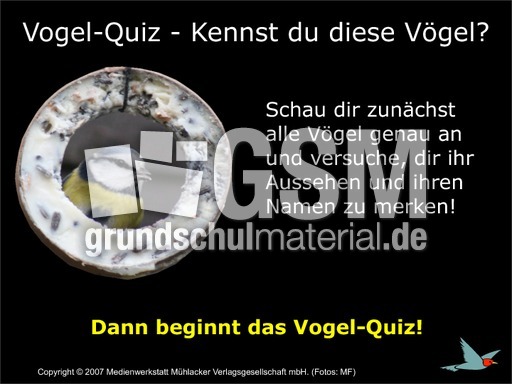 Kennst-du-diese-Vögel.pdf